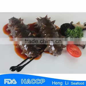 HL011 Hot Sale Frozen Floridana Sea Cucumber thumbnail-1