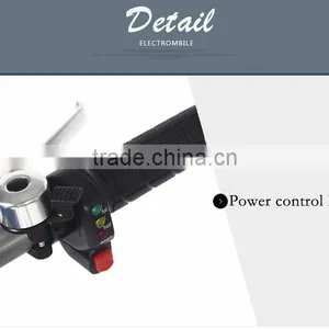 Electric Folding Bike thumbnail-3
