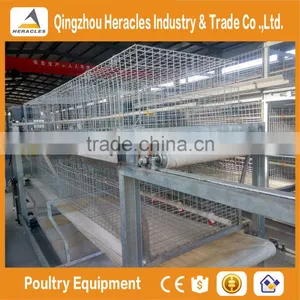 Heracles Trade Assurance Poultry Farming Equipment Layer Chicken Cage for Sale in Philippines thumbnail-1