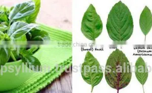 Organic Tulsi Leaf Powder thumbnail-1