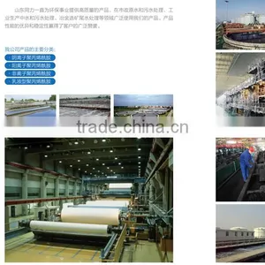 Chemical Flocculating Agent for Oil Field Anionic Polyacrylamide thumbnail-5