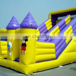 Commercial Big Water Slide Super Quality Inflatable Slide for Sale thumbnail-1