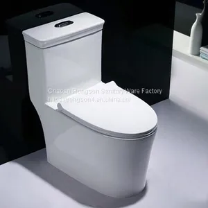 Luxury One Piece Toilet Best Toilets Types of Water Closet thumbnail-1
