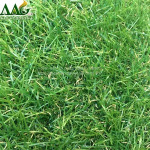 Anti-UV Artificial Turf for Garden Decoration SGS CE Synthetic Grass thumbnail-5