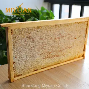 Premium Comb Honey From China Raw Honeycomb thumbnail-1