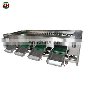 Roller-type Fruit Sorter Longan Fruit Sorting Machine Onion Vegetable Sorting Machine Potato Sorter thumbnail-4
