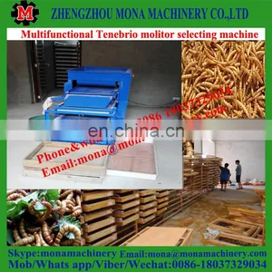 Multifunction Flour Weevil Separating Plant thumbnail-2