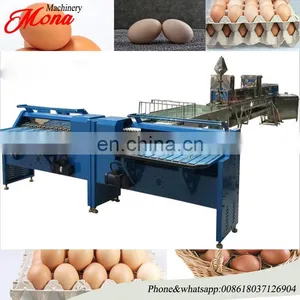 Manufacturer Egg Processing Machine / Automatic Egg Grader / Egg Weight Classifier Machine thumbnail-6