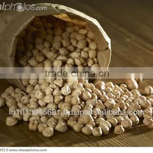 Turkish Chickpeas thumbnail-1