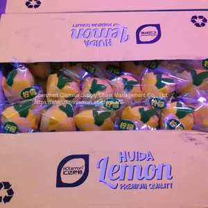 Mango & Lemon thumbnail-3