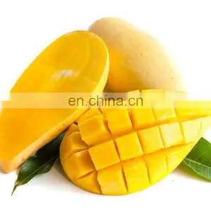 100% NATURAL FOR HEALTH FRESH MANGO WITH GOOD QUALITY MADE IN VIET NAM thumbnail-1