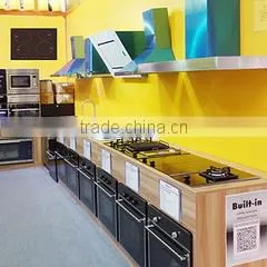 Foshan Built Electronic Appliance Manufacture Co., Limited company overview - view 1 thumbnail