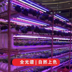 T8 Full Spectrum LED Plant Growth Lamp thumbnail-5