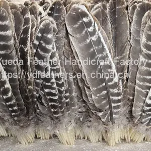 Turkey Plume Feather For Wholesale From China thumbnail-1