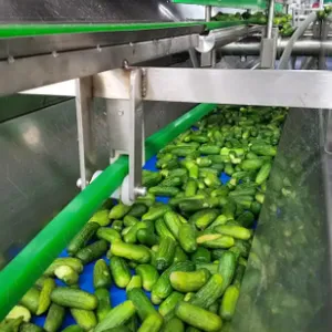Professional Full Automatic Canned Pickles Vegetables Cucumber Production Line thumbnail-4