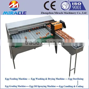 Top Selling in Chicken Eggs Grader Machine, Sorted and Graded Eggs by Weight thumbnail-1