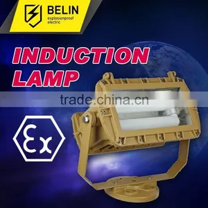 Aluminium Alloy Electrodeless Induction Lamp thumbnail-1