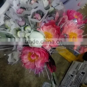 Bottom Price Latest Different Kinds Peony Flower thumbnail-3