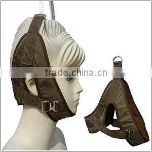 Canvas Vertebra Traction(high Quality) thumbnail-1