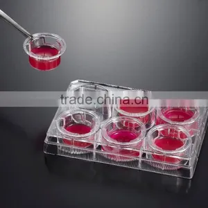 6 Wells 0.1 um Poly-carbonate Membrane Tissue Culture Plate Inserts thumbnail-1