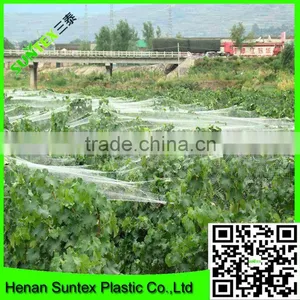 Anti Bird Net for Shrimp Pond Cover/uv Resistant Plastic Bird Mesh thumbnail-1