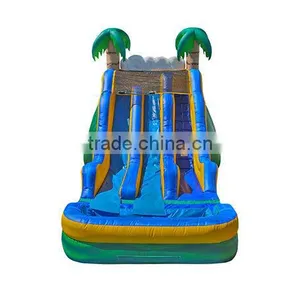 Dual Lanes Jungle Buy Inflatable Big Water Slides for Sale Splash Pool Supplier's Choice thumbnail-2