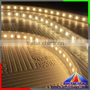 China Manufacturer 12V/24V Epistar 300leds/m SMD 5050 Waterproof IP68 Flexible LED Strip Light thumbnail-1