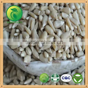 Sunflower Kernels Bakery Grade for Sale thumbnail-1