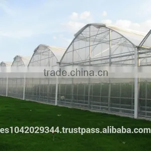Versatile Tropical Greenhouses for NFT, Hydroponics and Drip Irrigation thumbnail-2