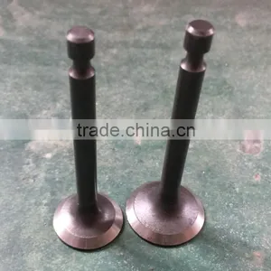 154F BISON China Taizhou Intake Exhaust Valve, Valve Exhaust, Engine Valve thumbnail-5