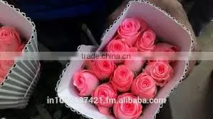 Cut Roses Exporters in India/tajmahal Roses Suppliers thumbnail-4