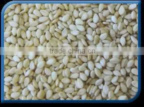 Natural Sesame Seed thumbnail-1
