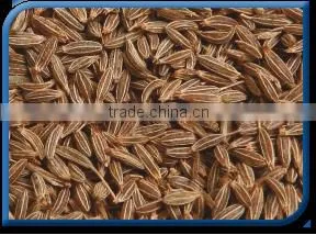 Cumin Seed thumbnail-1