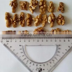 Supply Walnut Kernel, Walnut in Shell With High Quality thumbnail-6