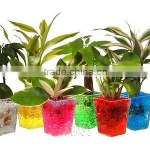Garden Decoration Magic Water Beads for Lucky Bamboo thumbnail-5