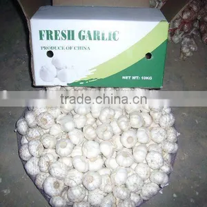 6.0cm Chinese Garlic 2015 Crop Pure White Skin thumbnail-1