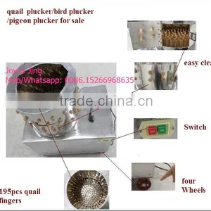 ZH-40 Automatic Bird Depilator Machine/quail Plucker Machine/quail Plucking Machine thumbnail-2