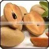 Sapota thumbnail-1