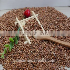 Natural Glutinous Red Sorghum Price thumbnail-5