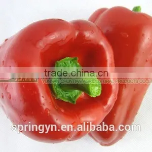 Orange Red Capsicum Yellow Capsicum thumbnail-4
