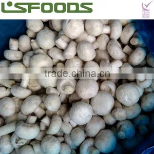 Frozen Mushroom Button Mushroom Champignon Mushroom thumbnail-3