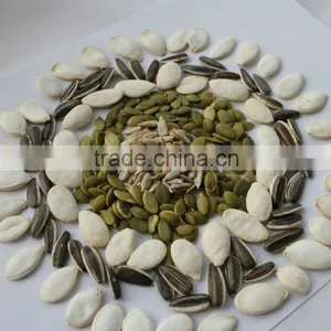 Wholesale Delicious Sunflower Seeds thumbnail-4