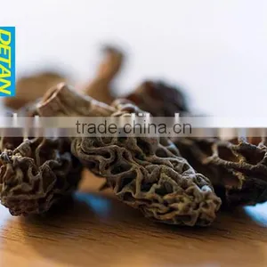 Wild Dried Morchella Vulgaris Grown in Mountain thumbnail-6