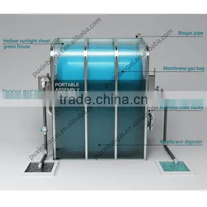 Chinese Biogas Plant for Mini-biogas-fermenter thumbnail-6