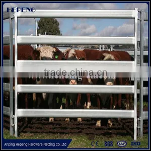 Heavy Duty Galvanized Livestock Cattle Panel Used Corral Panels thumbnail-3