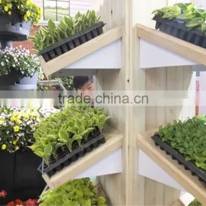 32 Cell Polystyrene Plug Tray Plastic in Agriculture thumbnail-2