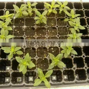 50 Cell, 512 Cell Plastic Seed Cell Plug Tray thumbnail-1