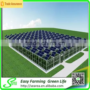Agricultrual Sloar Polycarbonate Greenhouse Project thumbnail-1