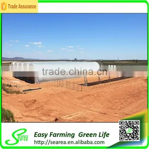 High Tunnel Greenhouse for Hot Weather Area thumbnail-2