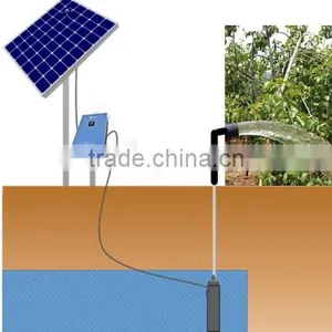 Durable Flexible Stable High Efficient Solar Pump System for Corn thumbnail-1